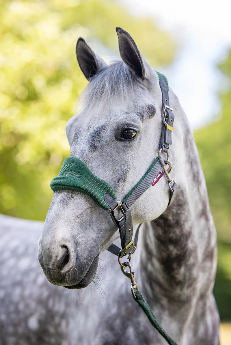 LeMieux Vogue Headcollar Leadrope Set Hunter Green/Grey-1